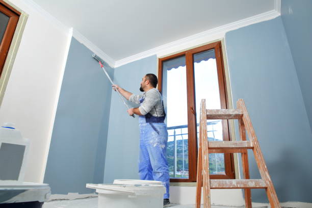 Best Mold Documentation for Insurance Claims  in Versailles, KY