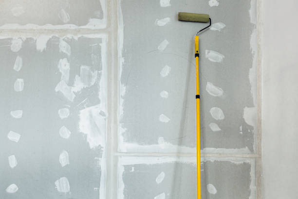 Best Mold-Related Health Consultation  in Versailles, KY